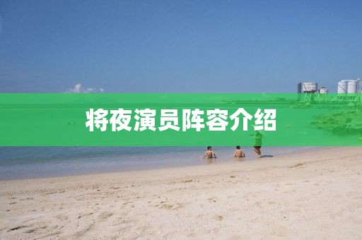 将夜演员阵容介绍