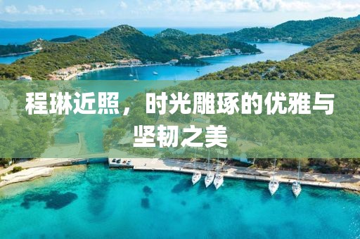程琳近照，时光雕琢的优雅与坚韧之美