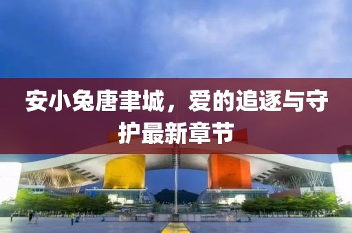 安小兔唐聿城，爱的追逐与守护最新章节