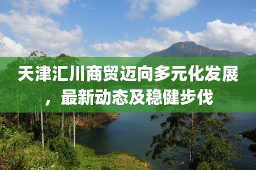 天津汇川商贸迈向多元化发展，最新动态及稳健步伐