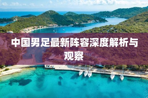 中国男足最新阵容深度解析与观察