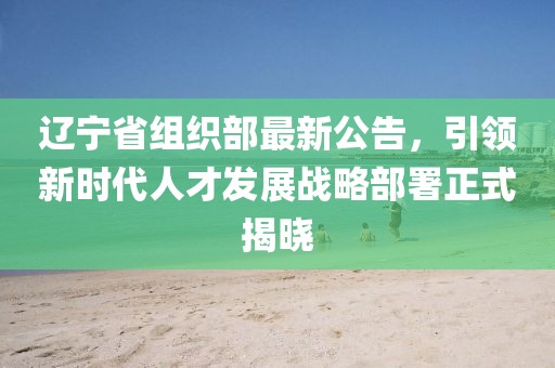 辽宁省组织部最新公告，引领新时代人才发展战略部署正式揭晓