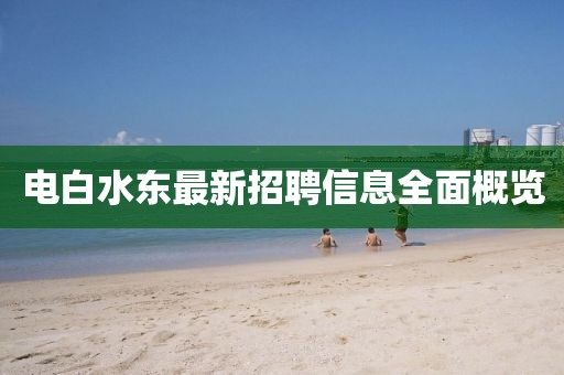 电白水东最新招聘信息全面概览