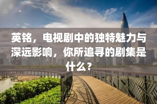 英铭，电视剧中的独特魅力与深远影响，你所追寻的剧集是什么？