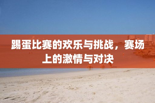 踢蛋比赛的欢乐与挑战，赛场上的激情与对决