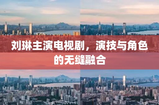 刘琳主演电视剧，演技与角色的无缝融合