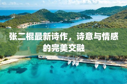 张二棍最新诗作，诗意与情感的完美交融