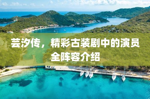 芸汐传，精彩古装剧中的演员全阵容介绍