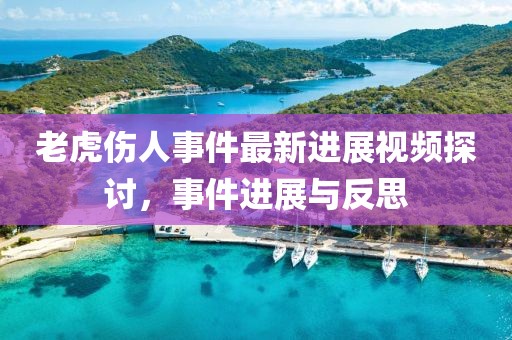 老虎伤人事件最新进展视频探讨，事件进展与反思