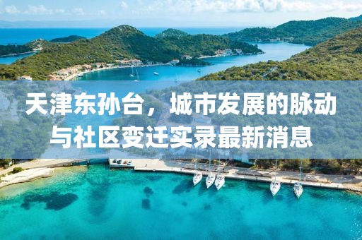 天津东孙台，城市发展的脉动与社区变迁实录最新消息