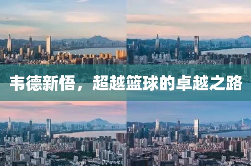 韦德新悟，超越篮球的卓越之路