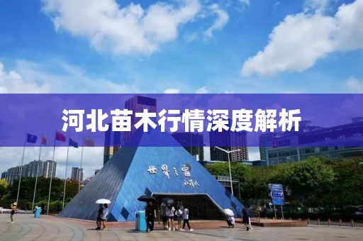 河北苗木行情深度解析