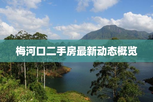 梅河口二手房最新动态概览