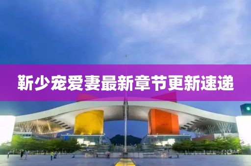 靳少宠爱妻最新章节更新速递