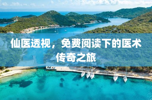 仙医透视，免费阅读下的医术传奇之旅