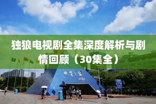 独狼电视剧全集深度解析与剧情回顾（30集全）