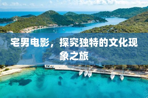 宅男电影，探究独特的文化现象之旅