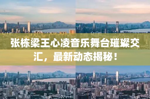 张栋梁王心凌音乐舞台璀璨交汇，最新动态揭秘！