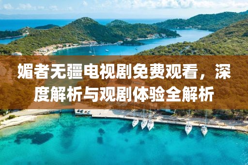 媚者无疆电视剧免费观看，深度解析与观剧体验全解析