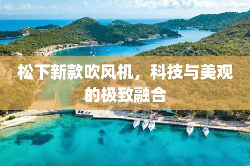 松下新款吹风机，科技与美观的极致融合