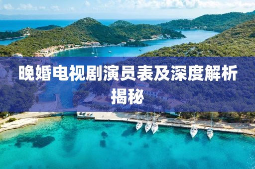 晚婚电视剧演员表及深度解析揭秘