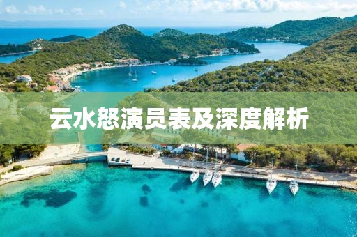 云水怒演员表及深度解析