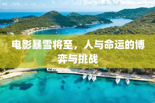 电影暴雪将至，人与命运的博弈与挑战