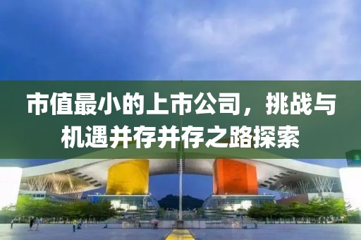 市值最小的上市公司，挑战与机遇并存并存之路探索