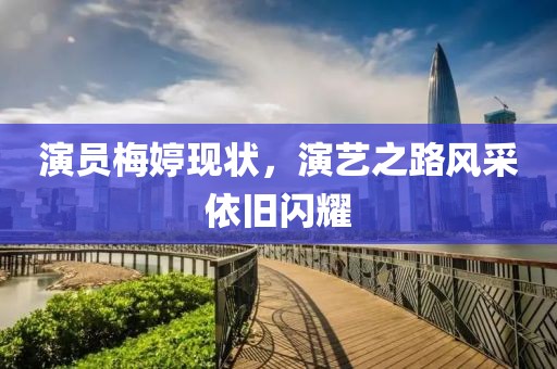 演员梅婷现状，演艺之路风采依旧闪耀