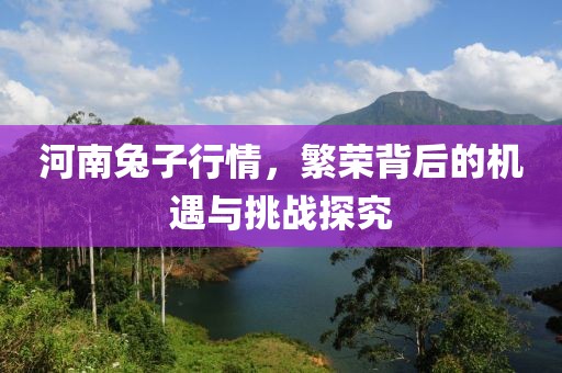 河南兔子行情，繁荣背后的机遇与挑战探究