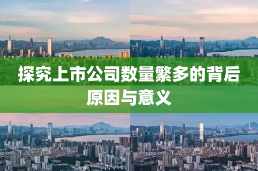 探究上市公司数量繁多的背后原因与意义