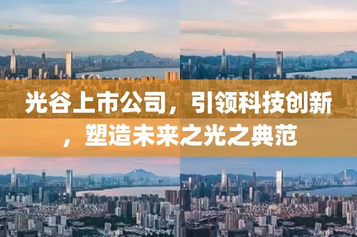 光谷上市公司，引领科技创新，塑造未来之光之典范