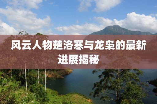 风云人物楚洛寒与龙枭的最新进展揭秘