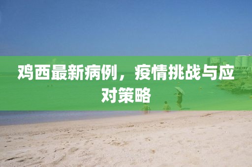 鸡西最新病例，疫情挑战与应对策略