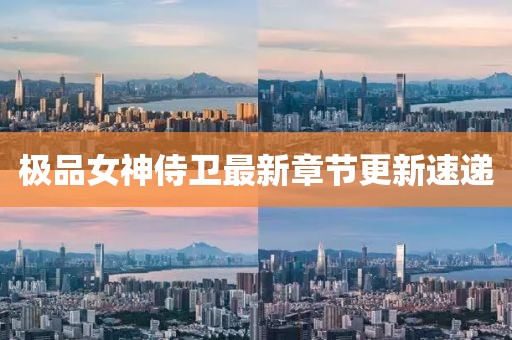 极品女神侍卫最新章节更新速递