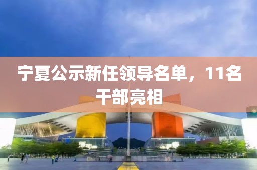 宁夏公示新任领导名单，11名干部亮相