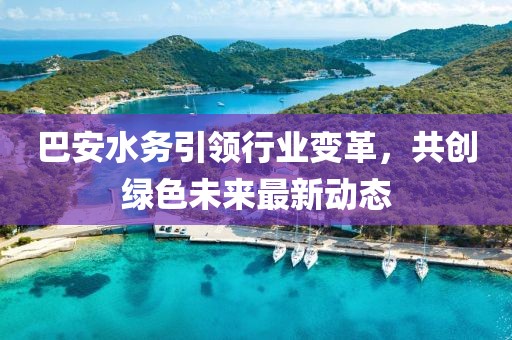 巴安水务引领行业变革，共创绿色未来最新动态