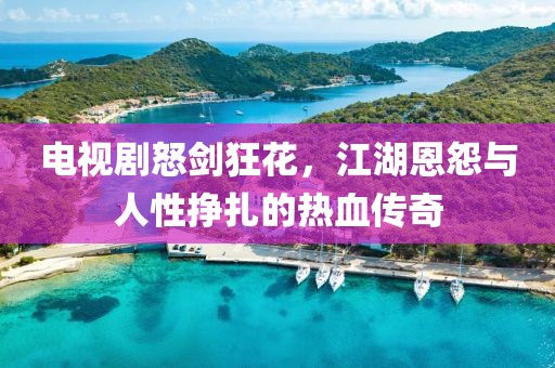 电视剧怒剑狂花，江湖恩怨与人性挣扎的热血传奇
