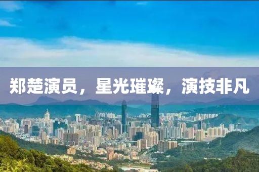 郑楚演员，星光璀璨，演技非凡