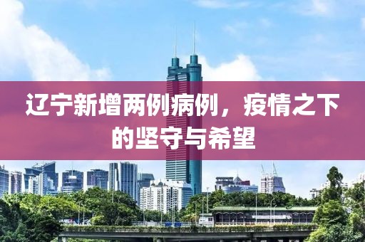 辽宁新增两例病例，疫情之下的坚守与希望