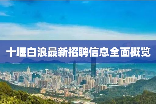 十堰白浪最新招聘信息全面概览