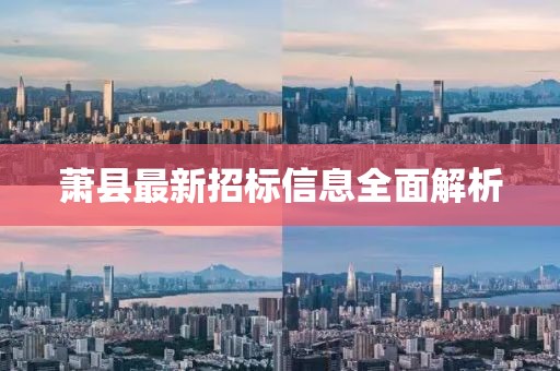 萧县最新招标信息全面解析