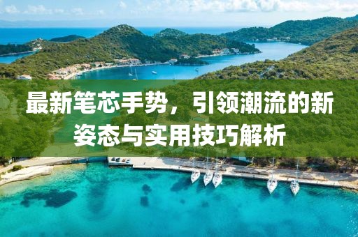 最新笔芯手势，引领潮流的新姿态与实用技巧解析