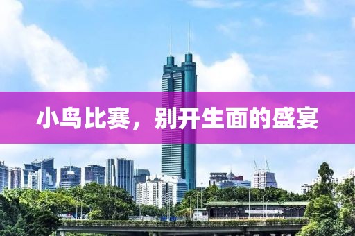 小鸟比赛，别开生面的盛宴