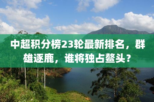 中超积分榜23轮最新排名，群雄逐鹿，谁将独占鳌头？