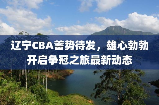 辽宁CBA蓄势待发，雄心勃勃开启争冠之旅最新动态