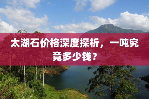 太湖石价格深度探析，一吨究竟多少钱？