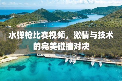 水弹枪比赛视频，激情与技术的完美碰撞对决