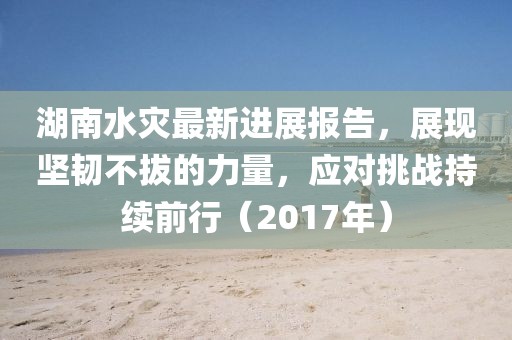 湖南水灾最新进展报告，展现坚韧不拔的力量，应对挑战持续前行（2017年）