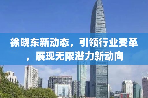 徐晓东新动态，引领行业变革，展现无限潜力新动向